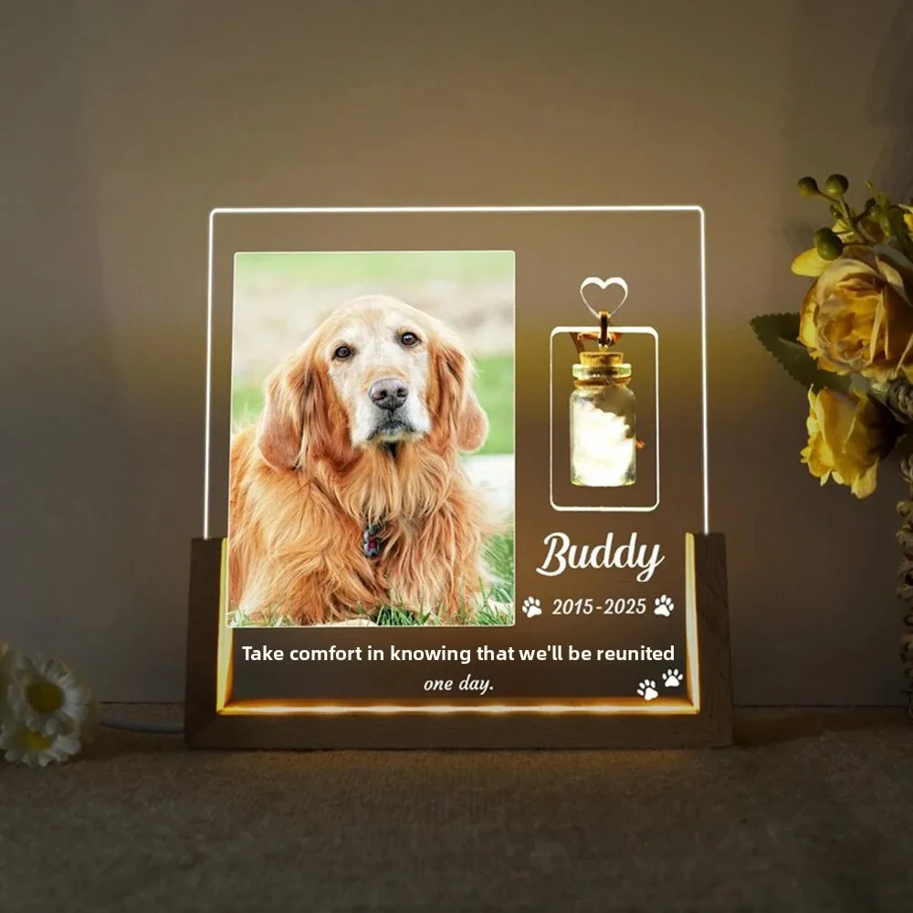 Luminária Noturna Personalizad - Lighting Decor Photos avaliação e preço